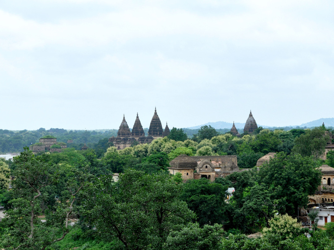 Orchha Fort景点图片