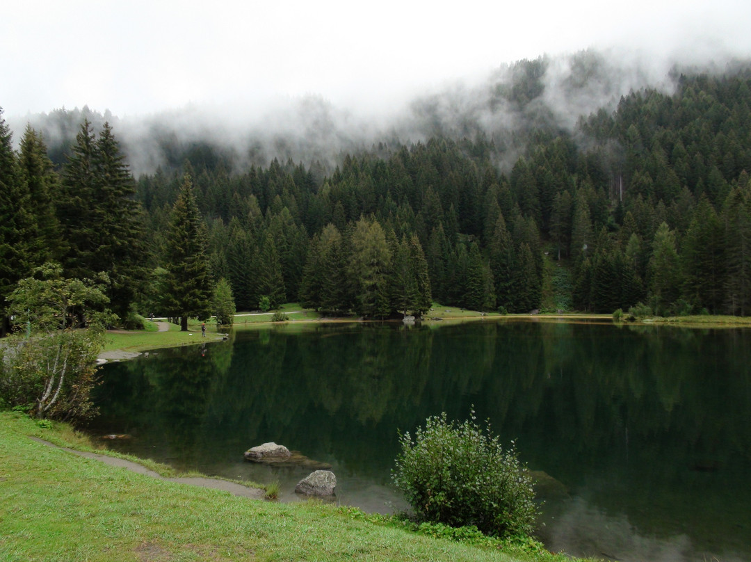 Lago dei Caprioli景点图片