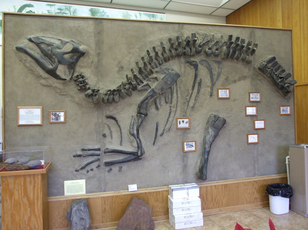 Museum of Geology and Natural History景点图片