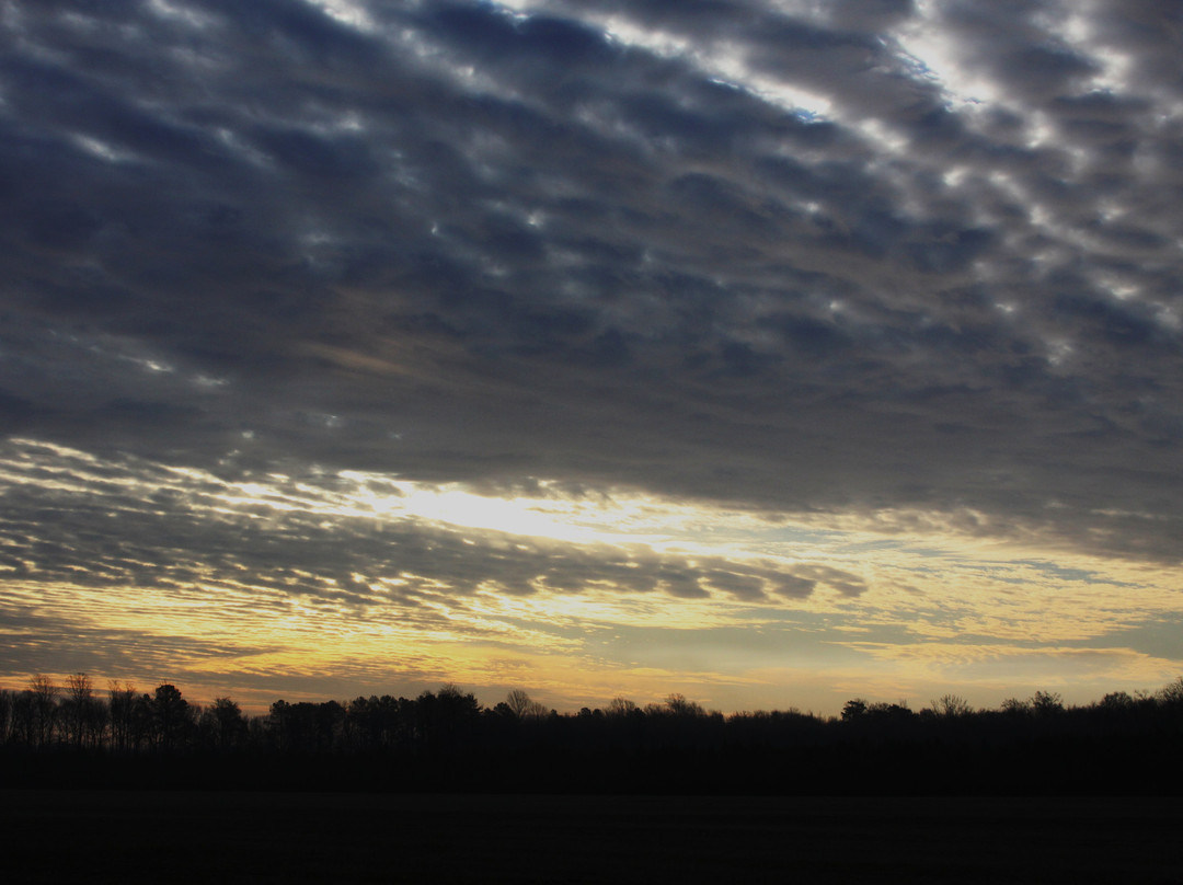 Trap Pond State Park-特拉华州必去景点