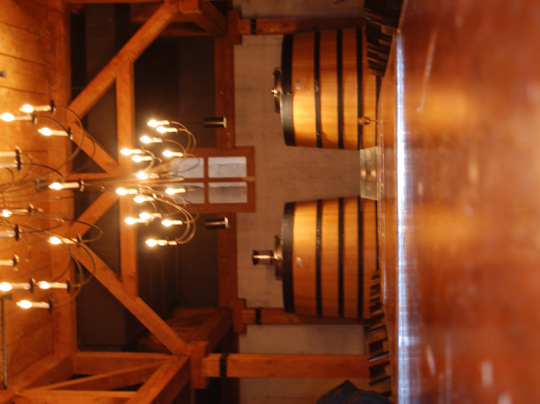 Trius Winery-滨湖尼亚加拉必去景点