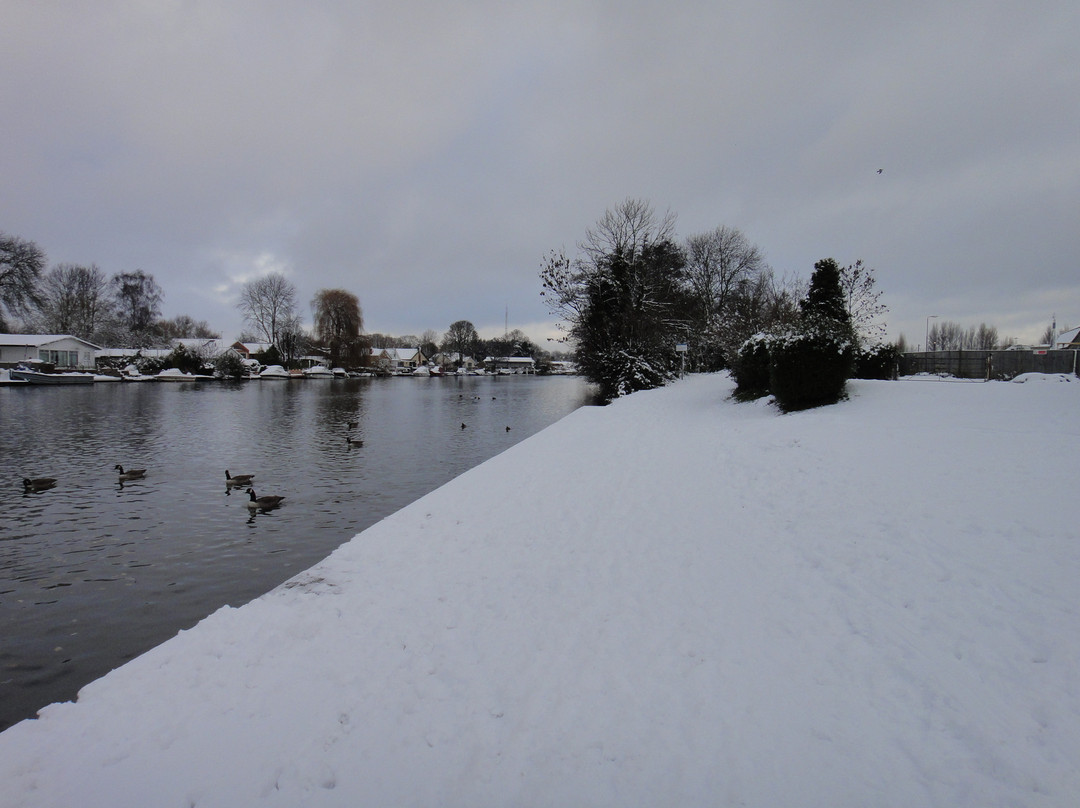 Kingston upon Thames - Shepperton Ferry Trail景点图片