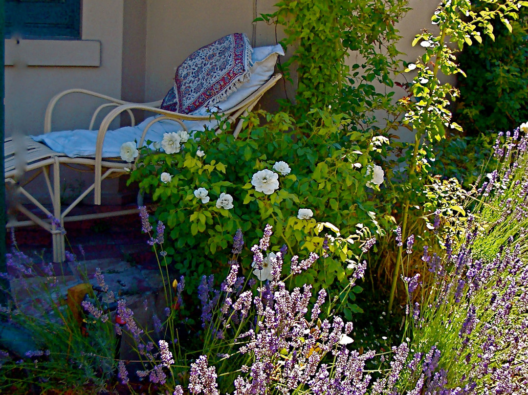 Kia Ora at Queenscliff主图