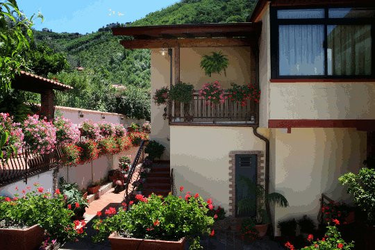 Pensione Gli Ulivi主图