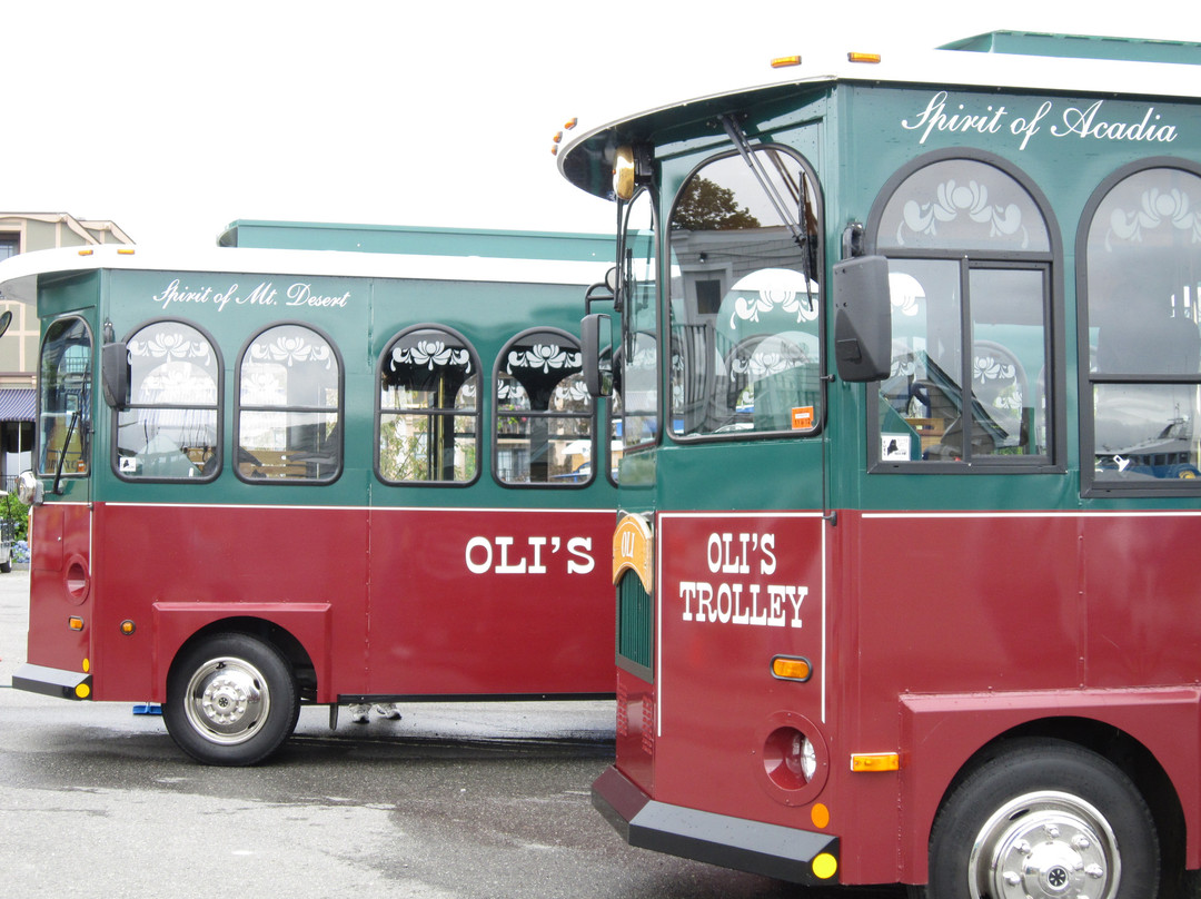 Oli's Trolley - Acadia National Park Tour-巴港必去景点