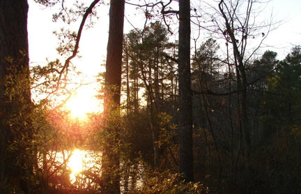 Killens Pond State Park-Felton必去景点