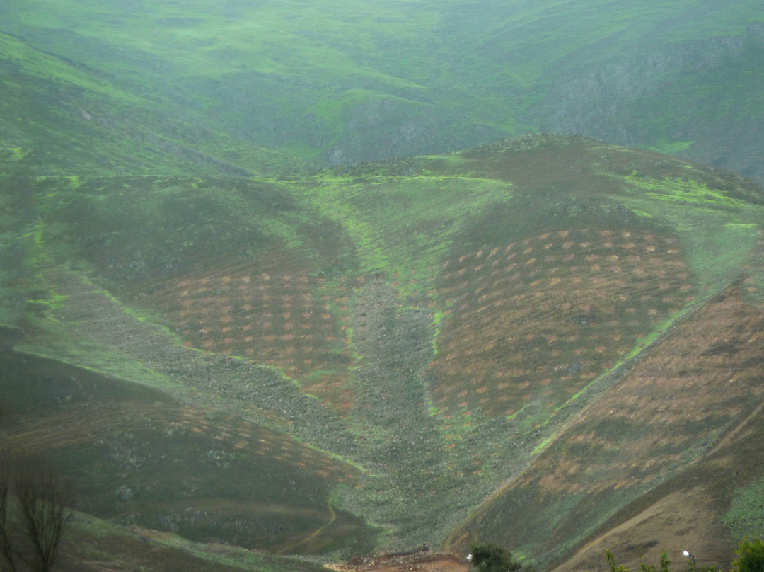 Reserva Nacional Lomas de Lachay-Huaral必去景点