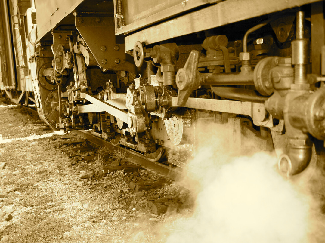 Vaser Valley Forestry Railway - Day Tours-Viseu de Sus必去景点