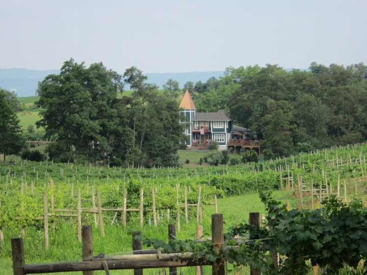 North Mountain Vineyard and Winery景点图片