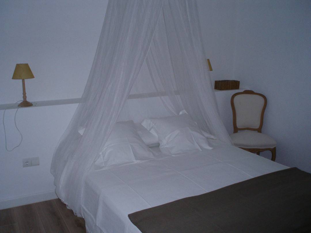 El Pi del Senyoret主图