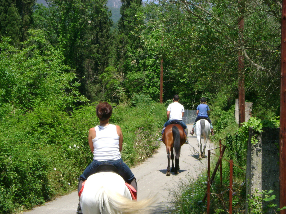Trailriders Horse Trekking景点图片