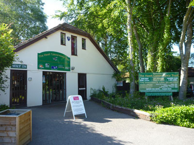 Hawk Conservancy Trust Bird of Prey Centre-Andover必去景点