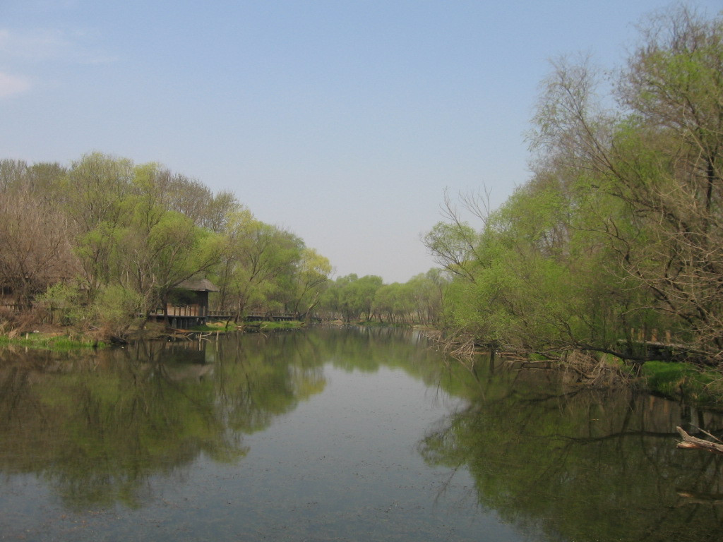 凤凰岛-扬州市必去景点