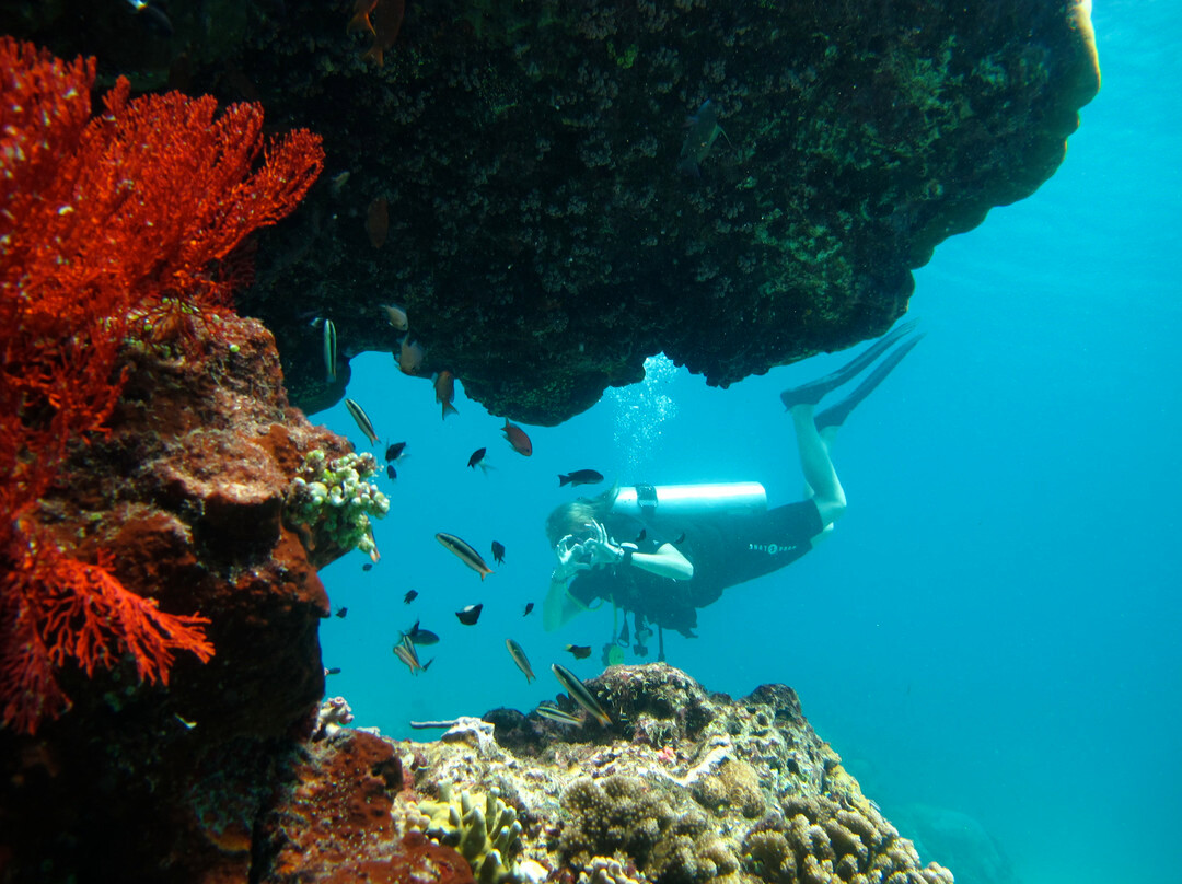Scuba Froggy - Senggigi-Senggigi必去景点