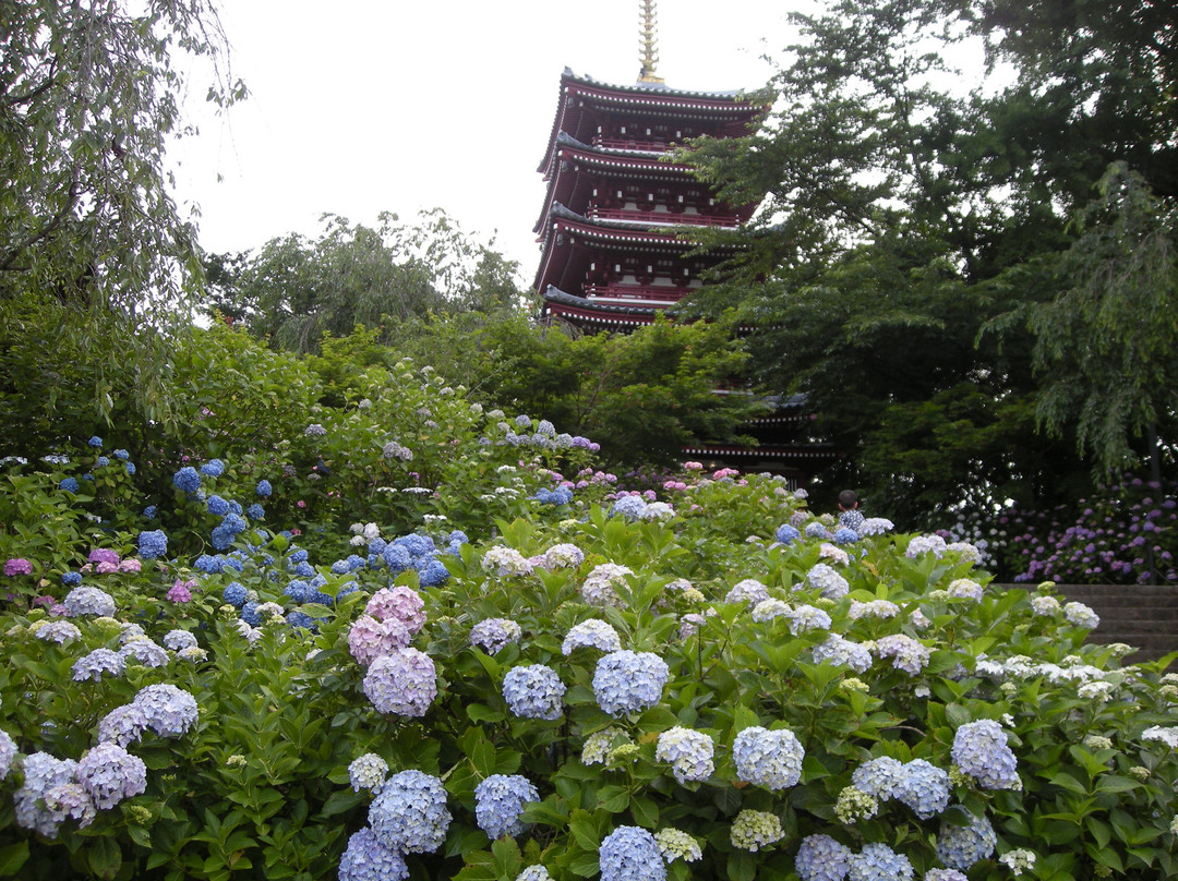 Hondo-ji Temple景点图片
