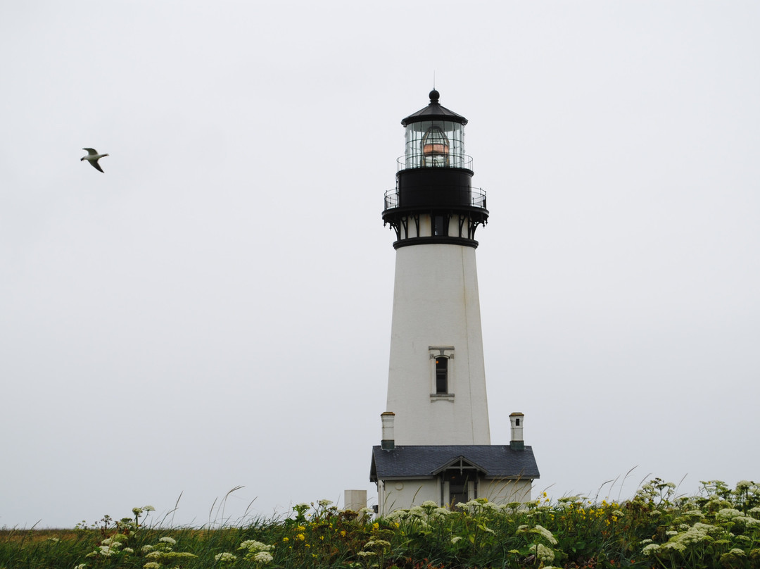 Yaquina Head Outstanding Natural Area-纽波特必去景点