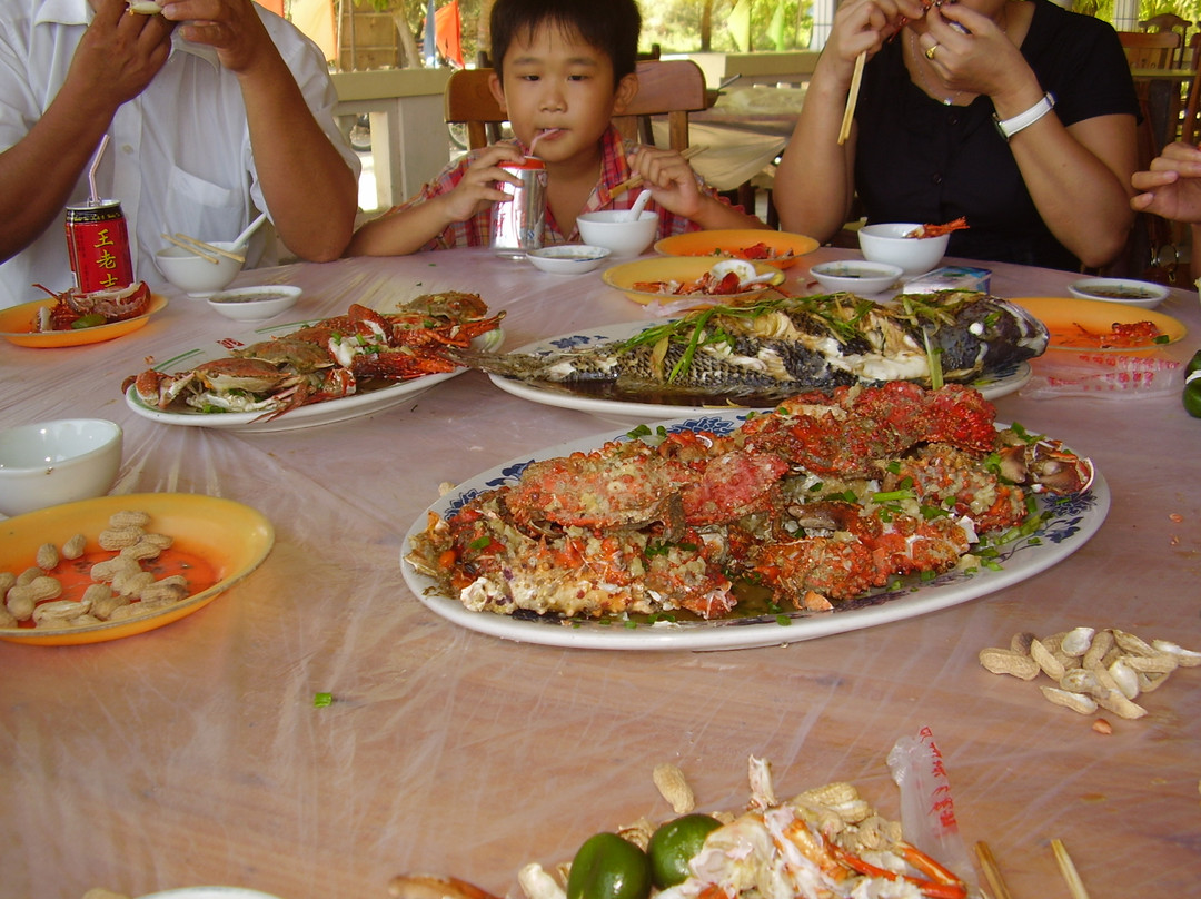 东郊椰子种植园-海口市必去景点
