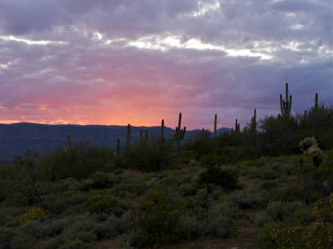 AZ Hummer Tours-凤凰城必去景点