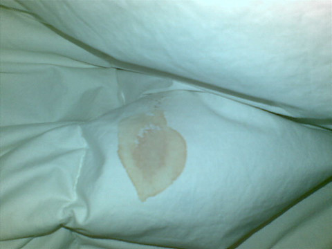 百瑞国际大酒店主图