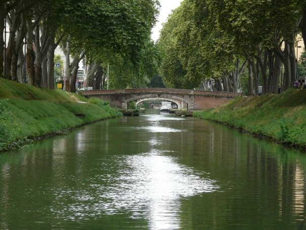 Canal de Brienne (Le)景点图片