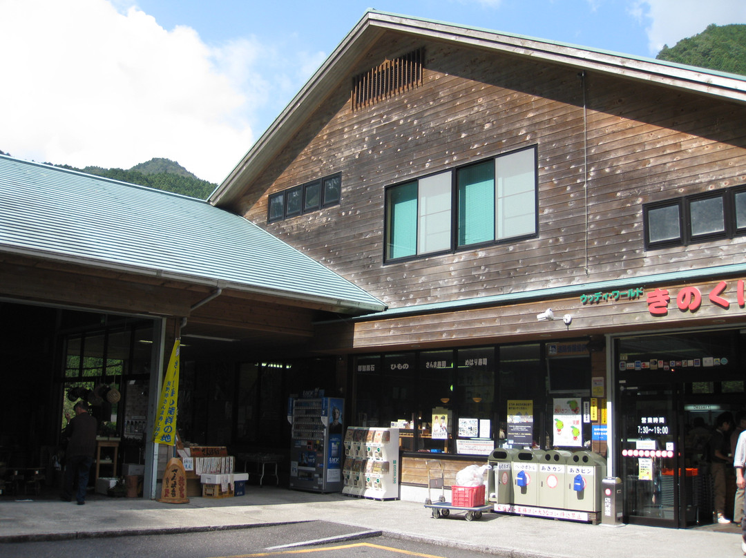 Roadside Station Kumano Kinokuni-熊野市必去景点