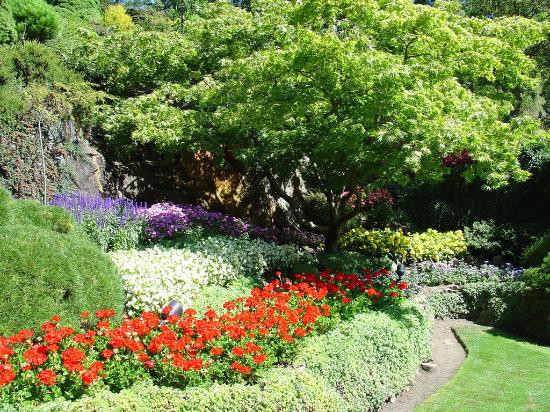 布查特花园-中萨尼奇必去景点