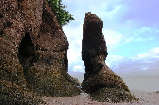 Hopewell Rocks景点图片