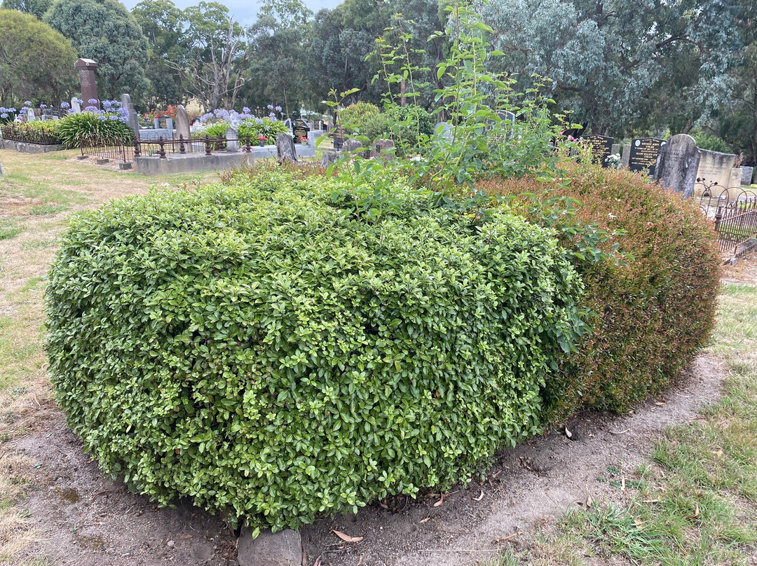 Kangaroo Ground Cemetery景点图片