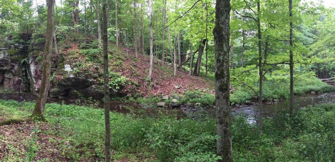 Franklin Park Natural Area-Franklin Park必去景点