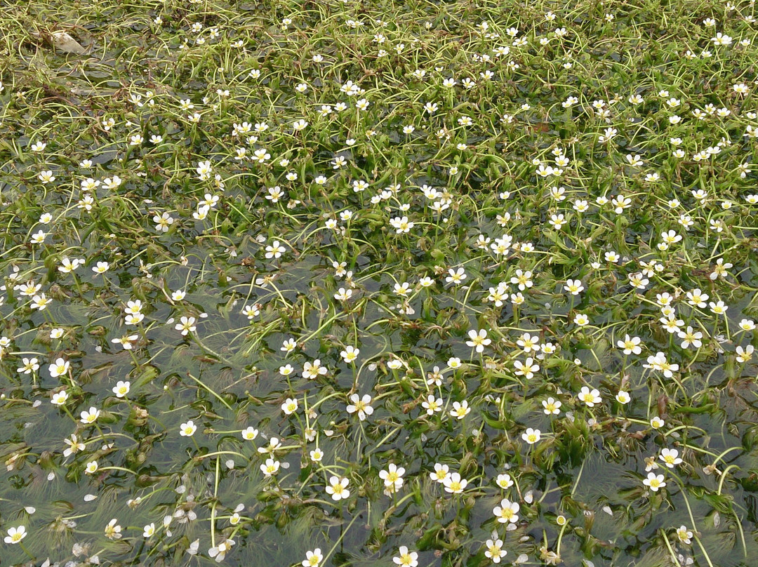 Baikamo Park-新温泉町必去景点