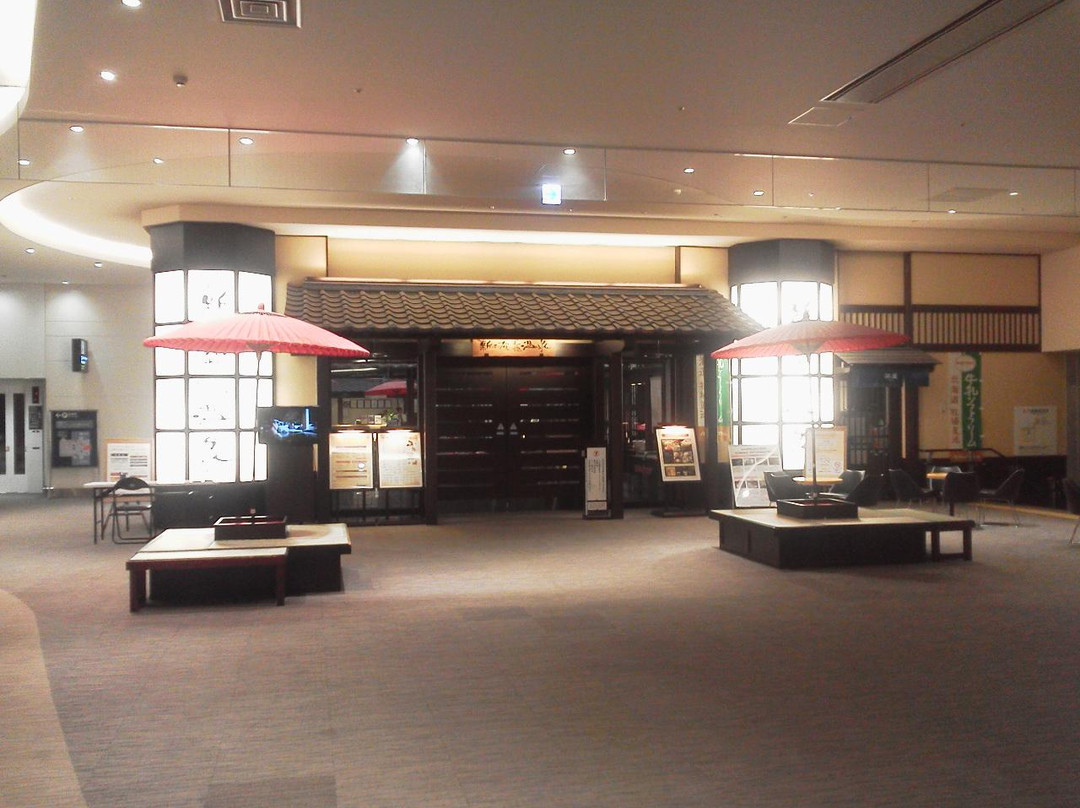 New Chitose Airport Onsen-千岁市必去景点