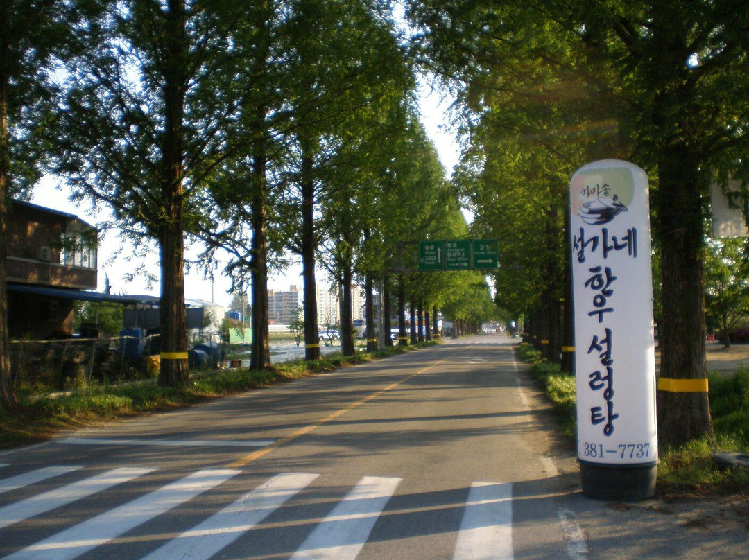 설가네한우설렁탕