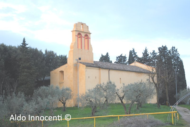 Pieve di Santa Maria a Coeli Aula景点图片
