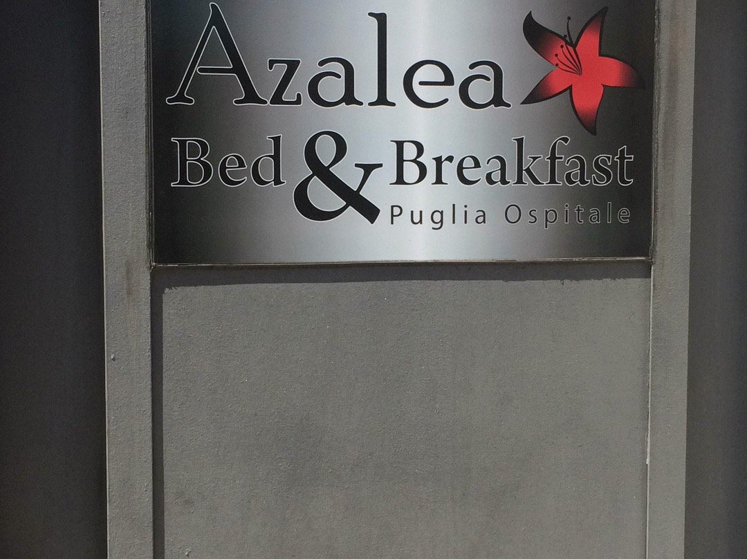 B&B Azalea