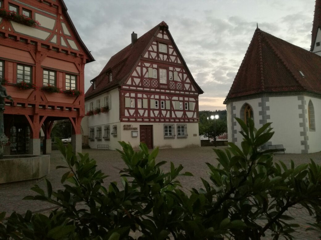 Reichenbach an der Fils餐馆和美食-Grüner Baum