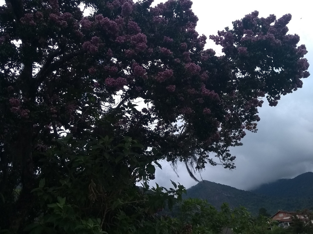 Granja Comary-特雷索波利斯必去景点