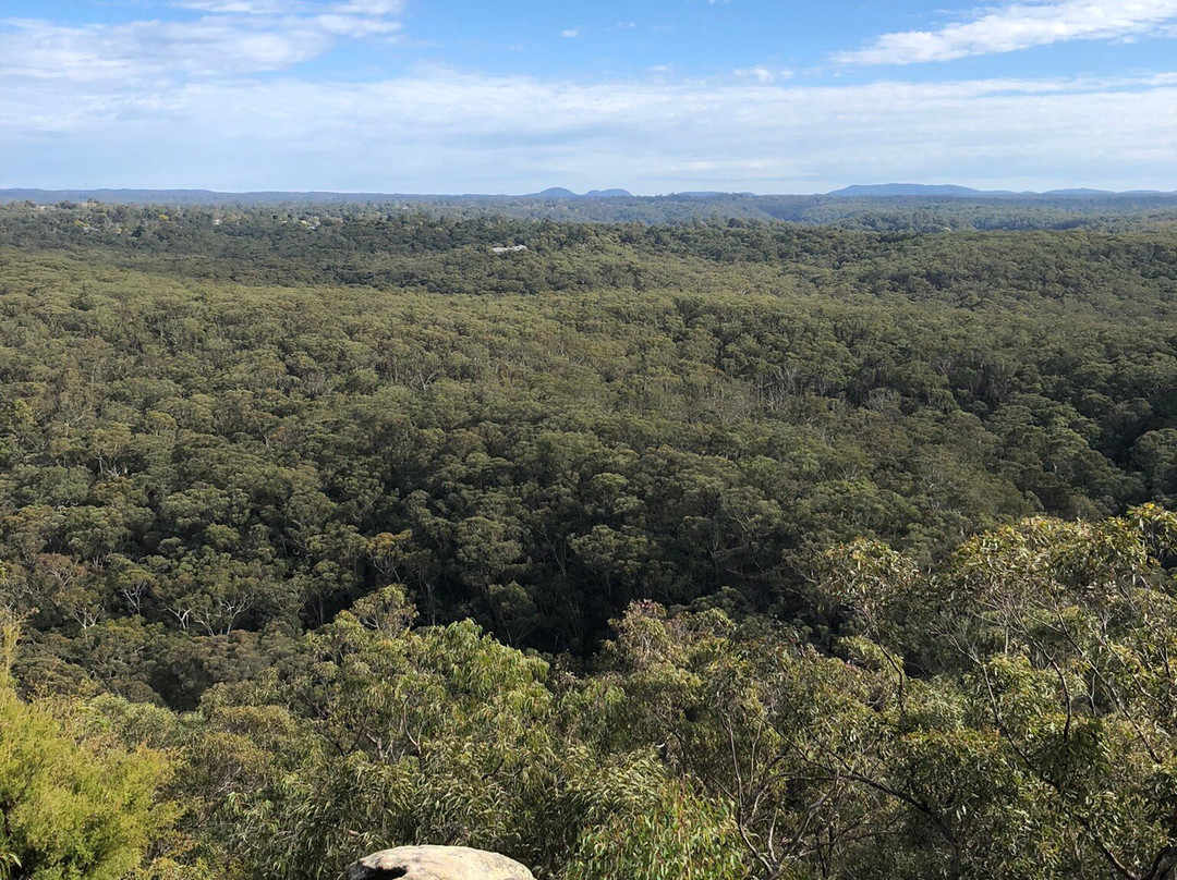 Olympic Drive Lookout-Blaxland必去景点