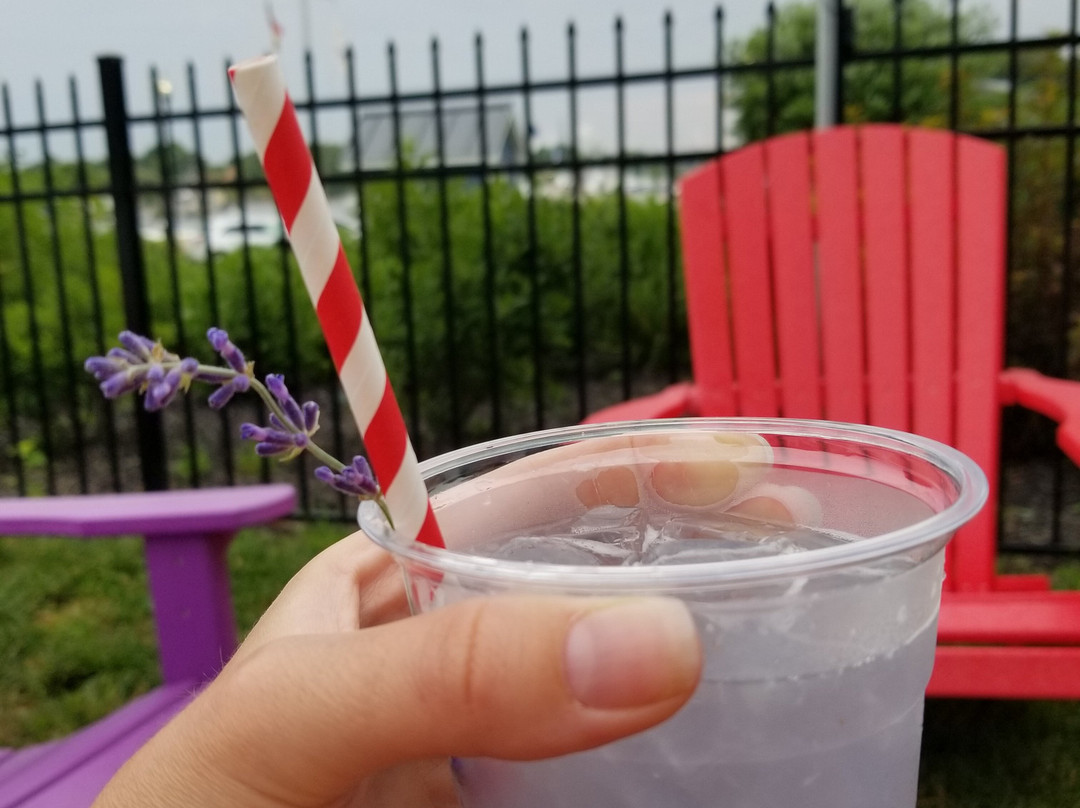 Rummur Lounge At Inn At The Canal