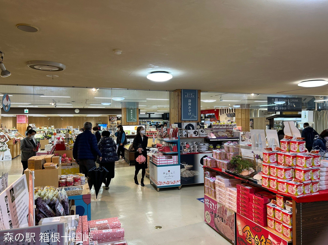 Hakone Jyukkokutouge Rest House