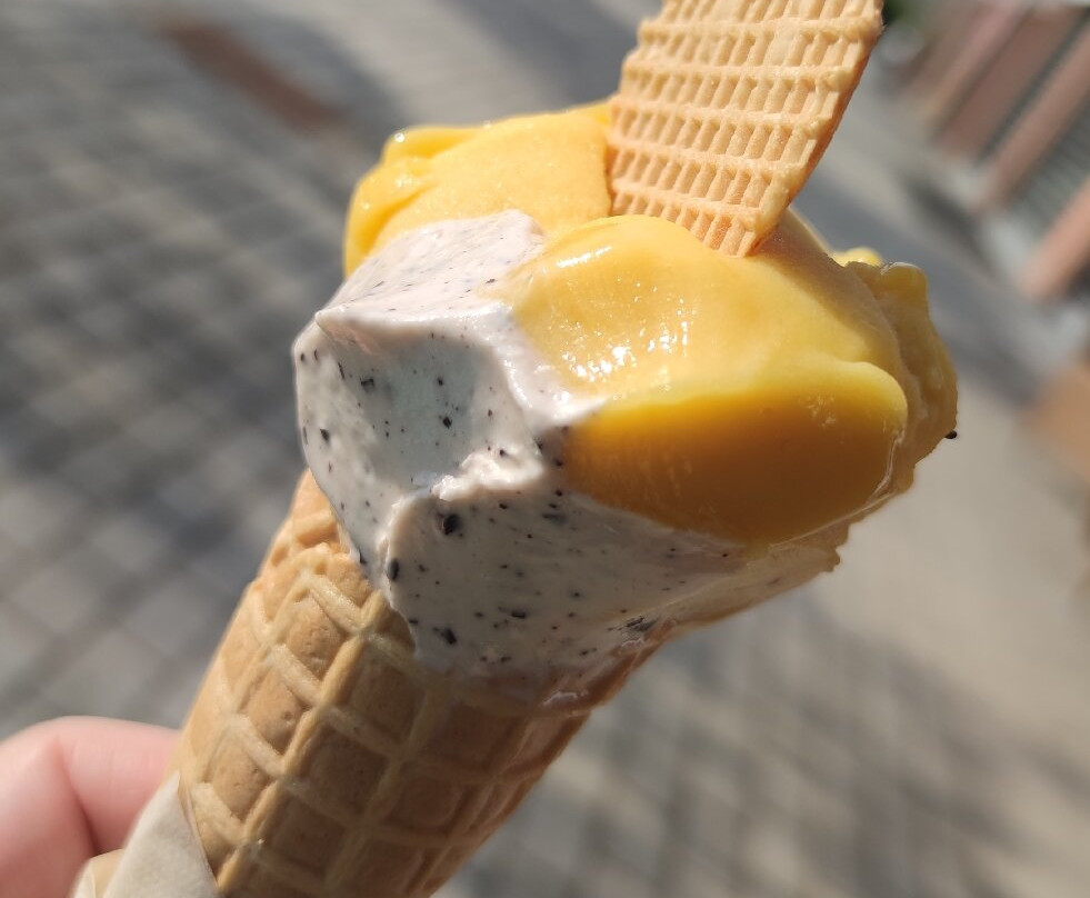 ICE GUY  Gelateria Artigianale景点图片