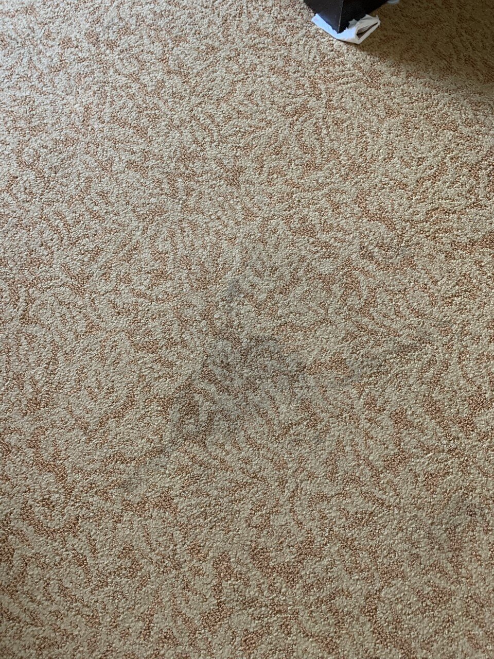 Country Inn & Suites by Radisson, Dundee, MI-客卧