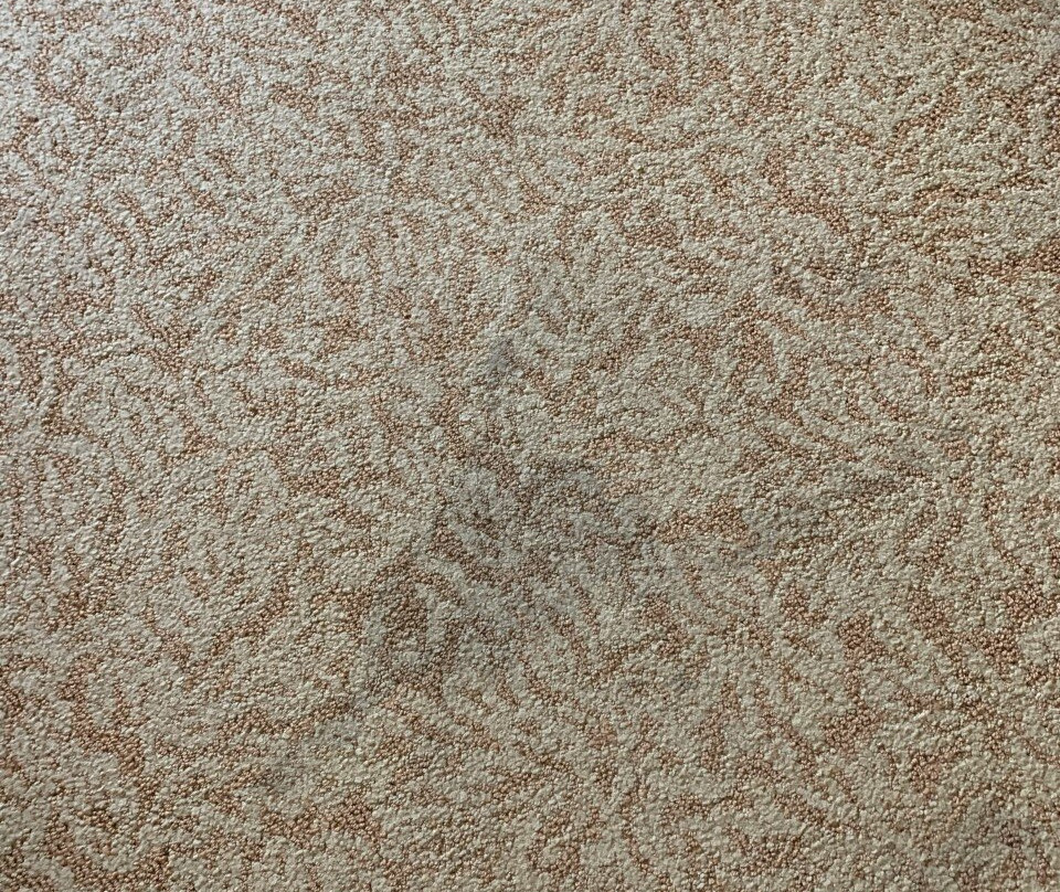 Country Inn & Suites by Radisson, Dundee, MI主图