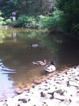 伊丽莎白公园-西哈特福德必去景点