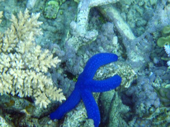 波长礁-道格拉斯港必去景点