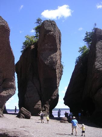 Hopewell Rocks-霍伯威尔角必去景点