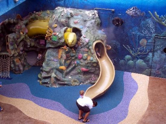 佛罗里达水族馆-坦帕必去景点