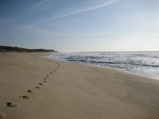 半月湾州立海滩-半月湾必去景点