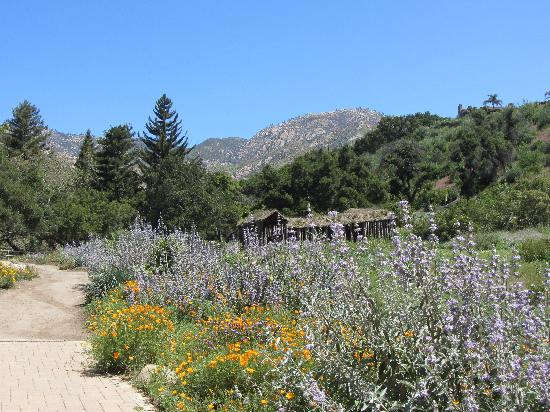 圣巴巴拉热带花园-圣巴巴拉必去景点