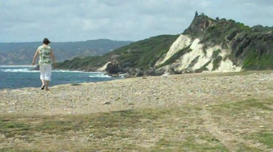 Bottom Bay-Saint Philip Parish必去景点