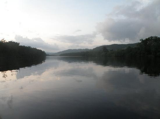 Dan Irby's Mangrove Adventures-Daintree必去景点